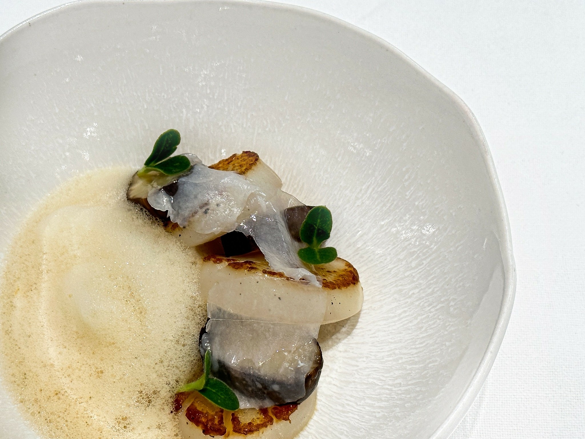 Ολα όσα συμβαίνουν στην κουζίνα της θρυλικής Σπονδής