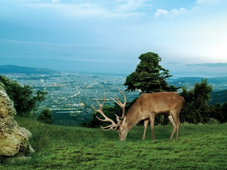 Πώς η εμπειρία του Regency Casino Mont Parnes έγινε πάλι ένας hot προορισμός