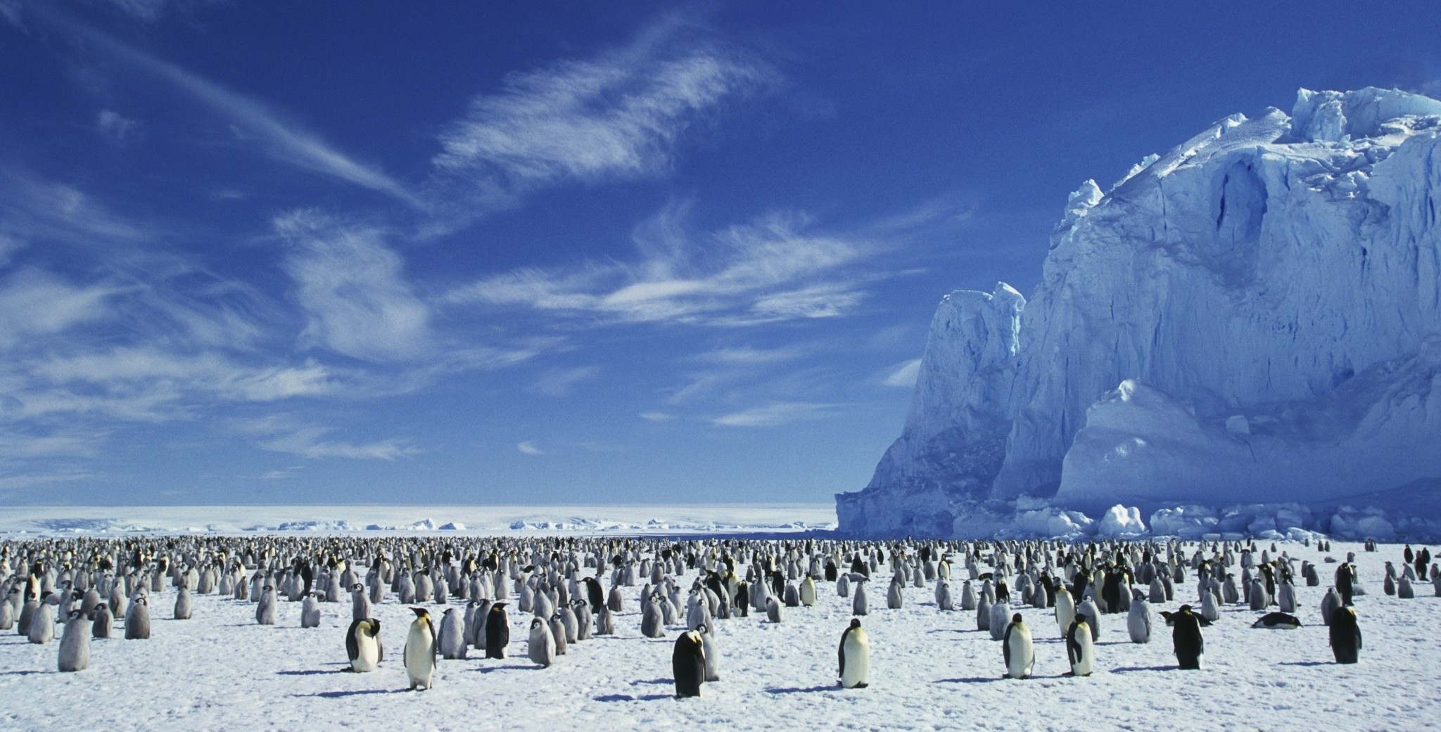 Ανταρκτική: Η συναρπαστική διαδρομή προς το απόλυτο ταξίδι μιας ζωής