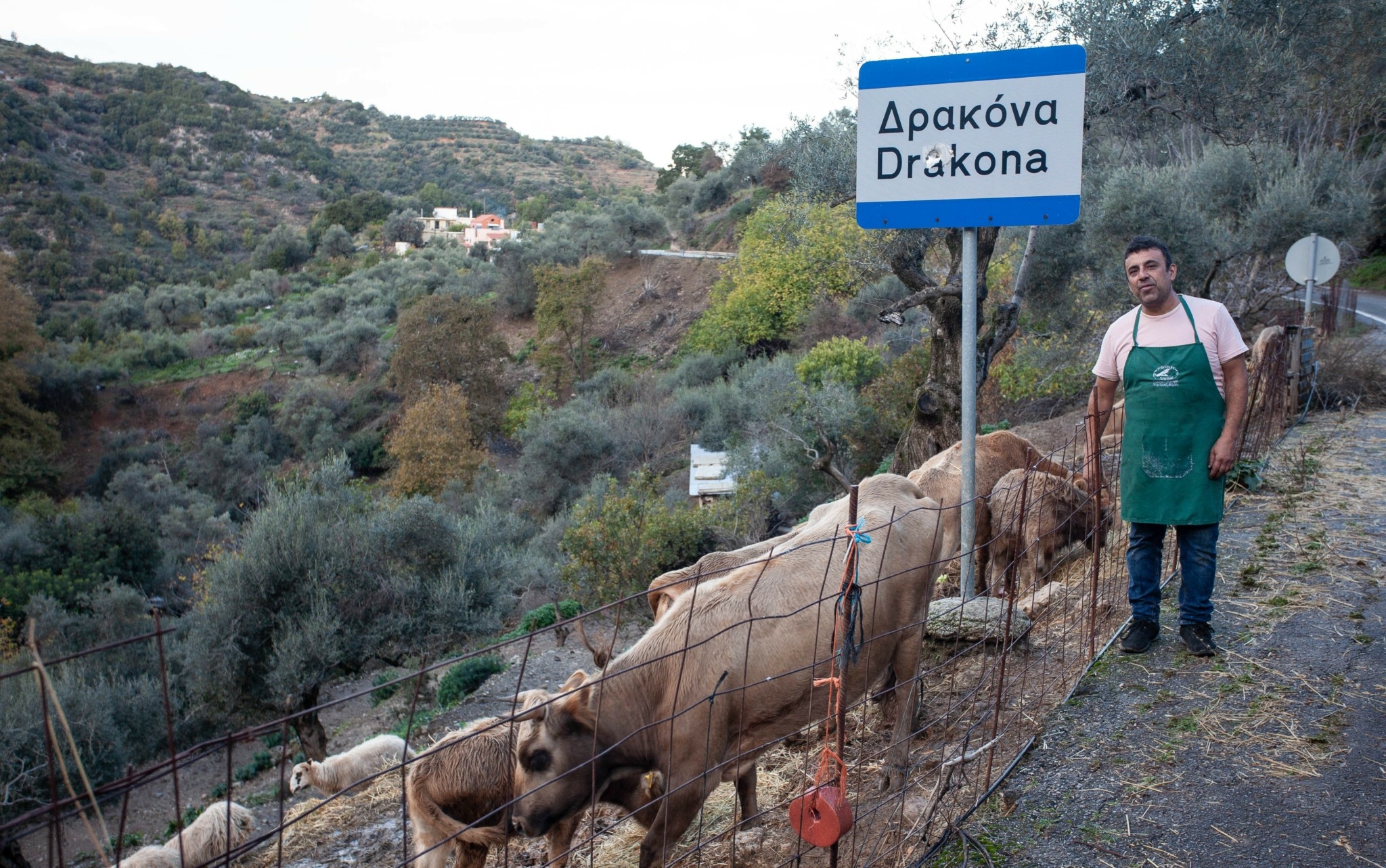 Αυτή είναι η πιο αυθεντική εμπειρία φαγητού στην Ελλάδα: Η ταβέρνα που εκθειάζουν τα μεγάλα ξένα media 