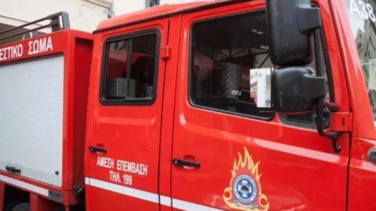 Φωτιά σε δασική έκταση στο Ηράκλειο Κρήτης