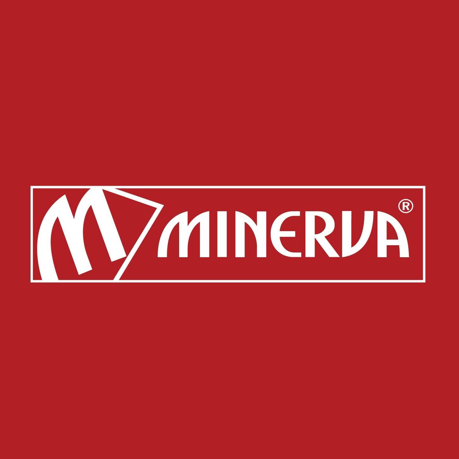 Μειωμένος ο τζίρος της «Minerva» στο 9μηνο