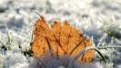 Χειμερινό ηλιοστάσιο: Ξεκινά επίσημα ο χειμώνας – Tην Τετάρτη η μεγαλύτερη νύχτα του χρόνου