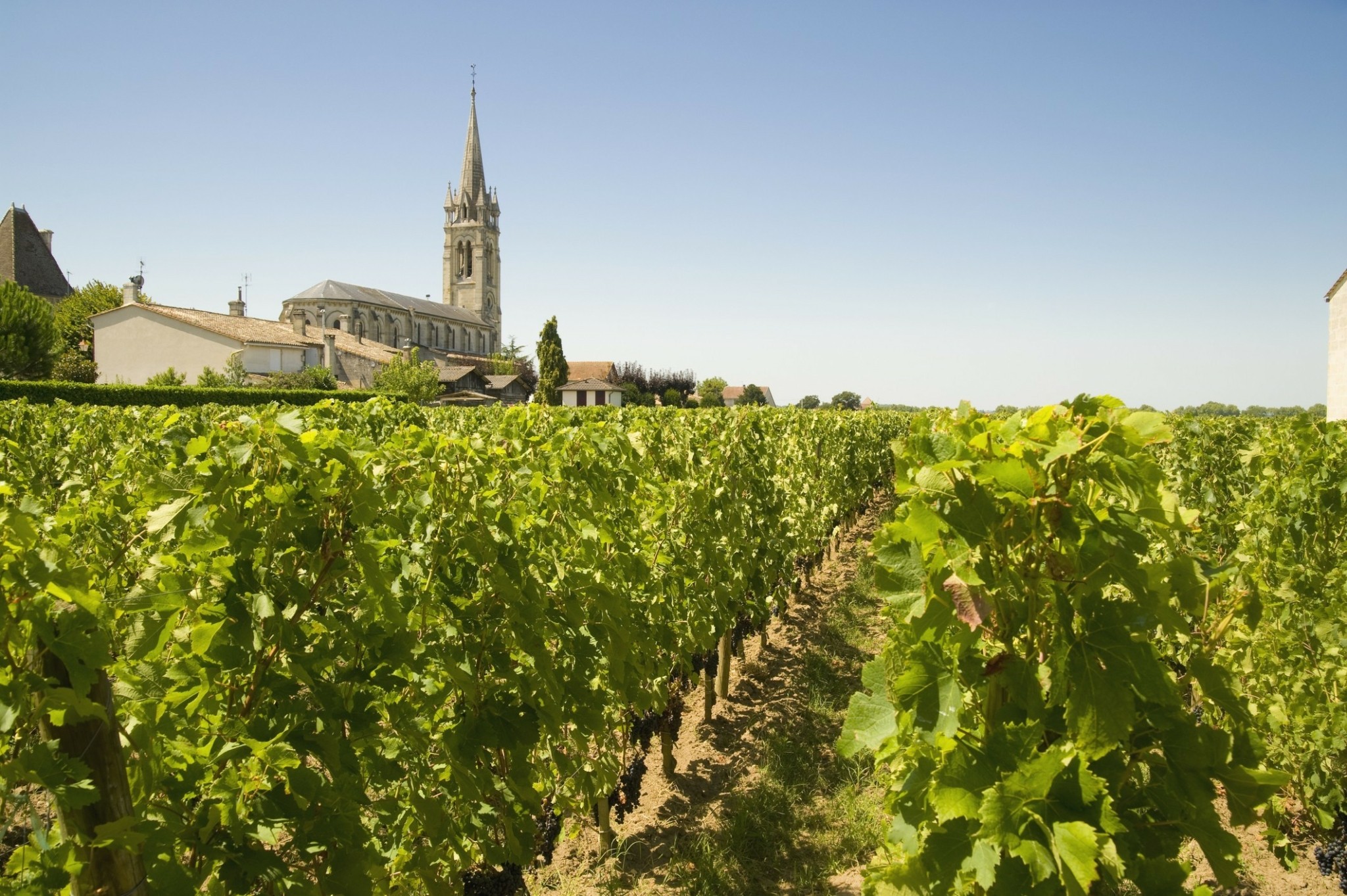 Μπορντό, όλα όσα αξίζει να ξέρετε για τη γη των πιο μυθικών κρασιών του κόσμου