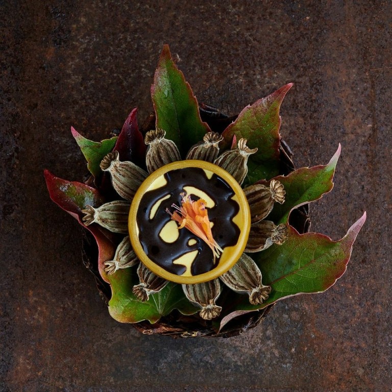 Τα πιο πρωτοποριακά πιάτα του εστιατορίου Noma – Σαν πίνακες που αφηγούνται ιστορίες