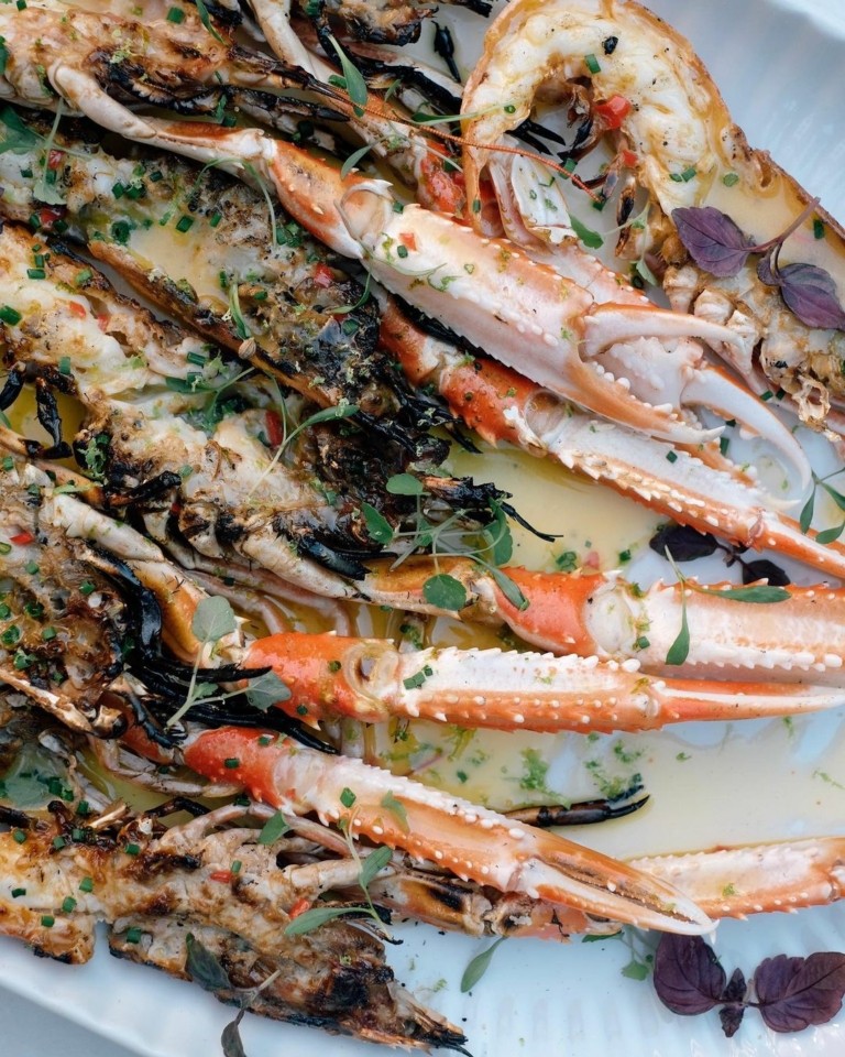 Τα κορυφαία πιάτα της χρονιάς: Μια γαστρονομική περιήγηση σε όλη την Ελλάδα