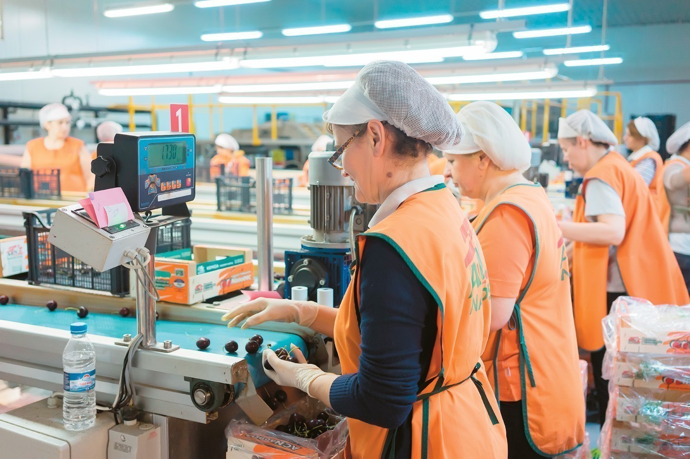 Τα σενάρια για τη μείωση των ασφαλιστικών εισφορών (πίνακας)