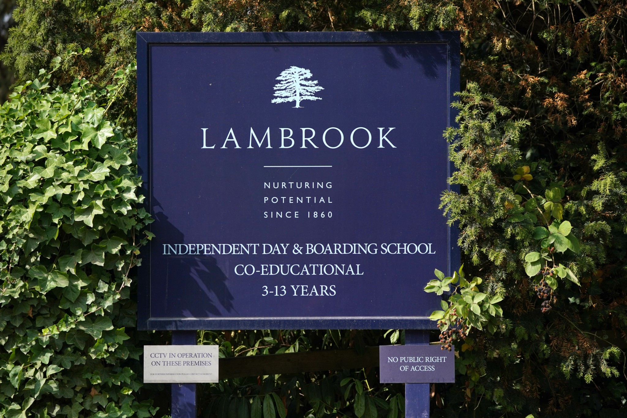 Lambrook School: This is a school 