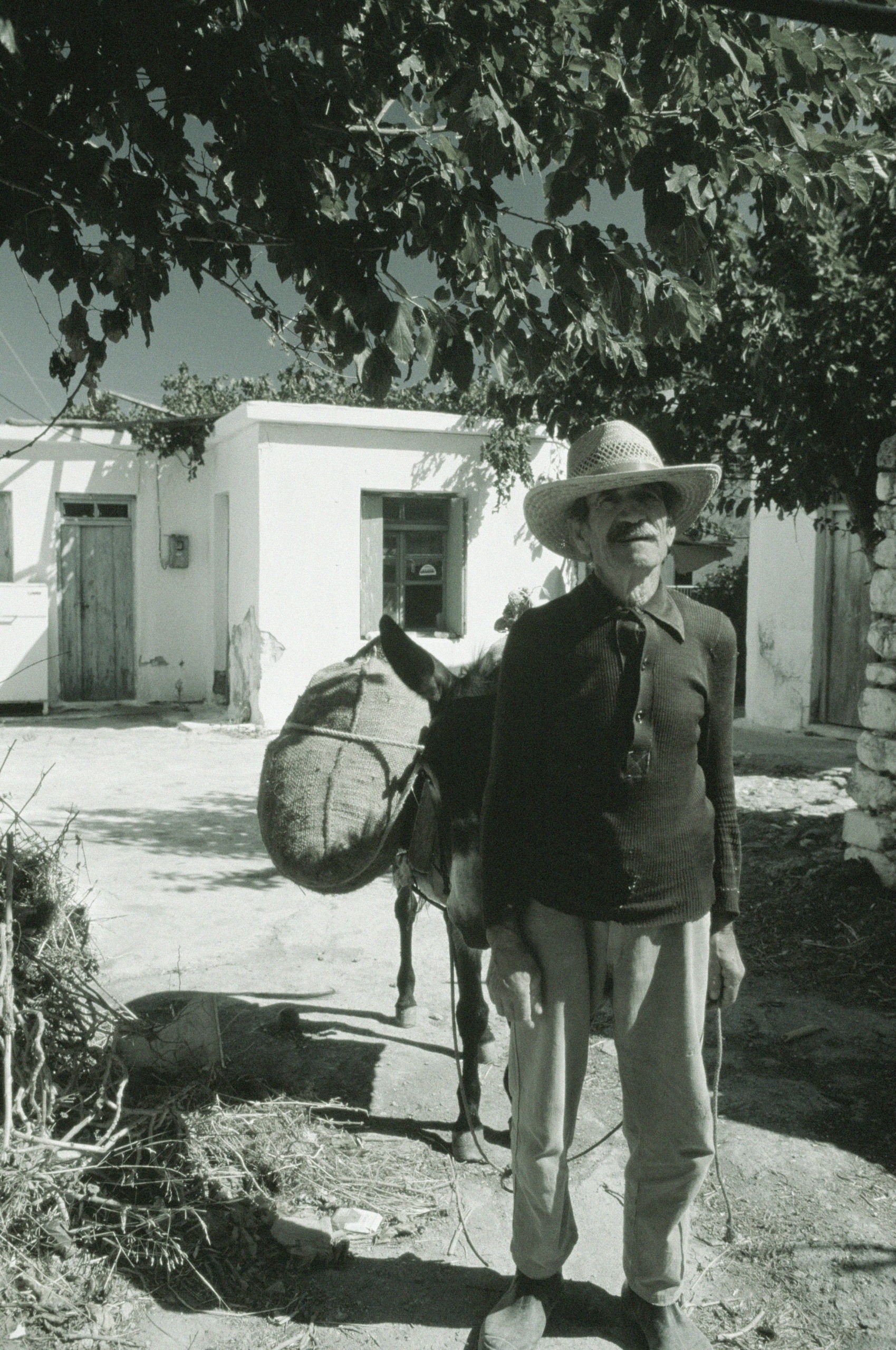 Η θρυλική έρευνα των 7 χωρών που άρχισε το 1960 σε Κρήτη και Κέρκυρα – Αυτοί ήταν οι παγκόσμιοι νικητές της μακροβιότητας