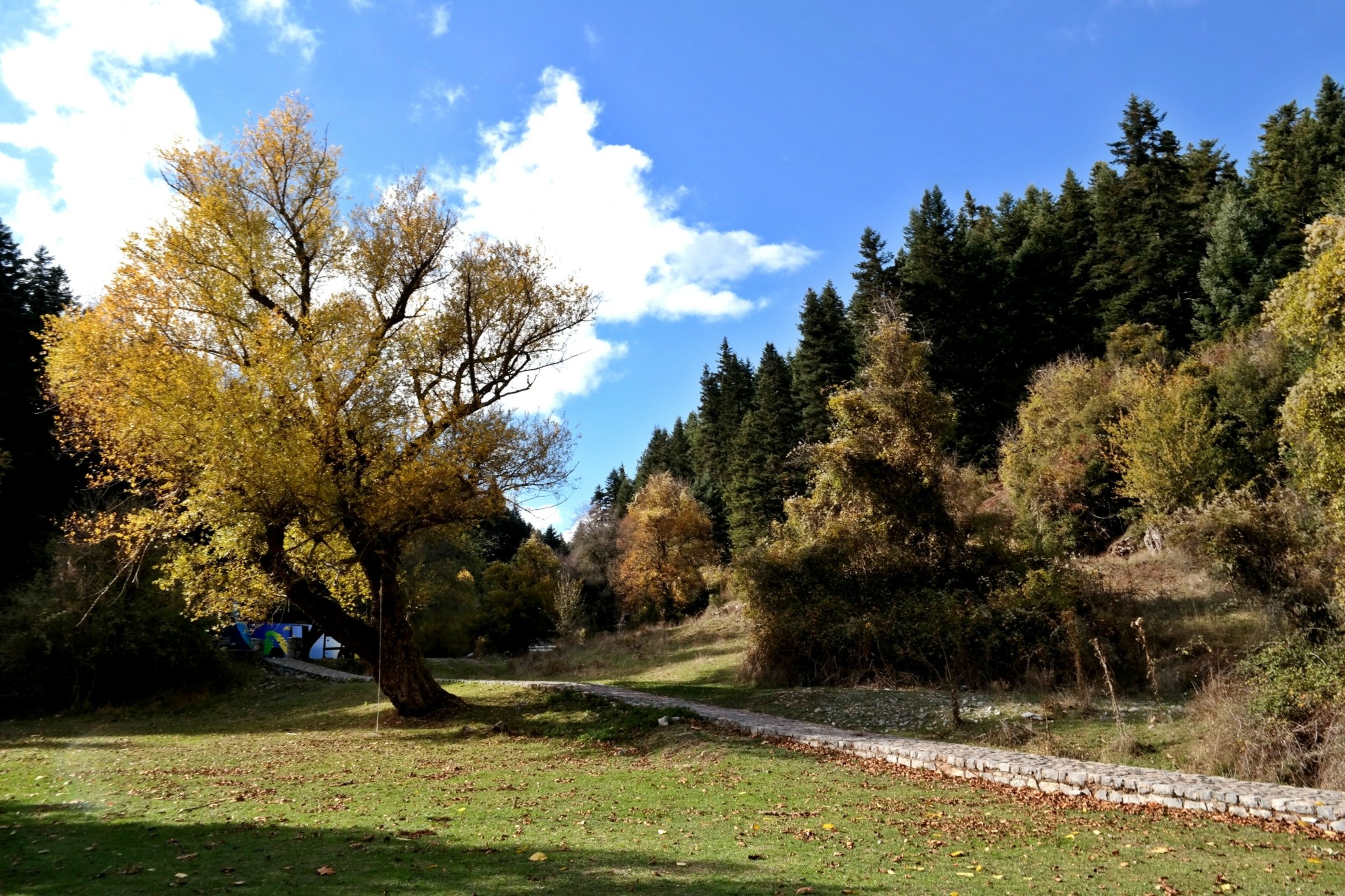 Σε καθεστώς υψηλής προστασίας το όρος Μαίναλο – 8 είναι πλέον τα «Απάτητα Βουνά»