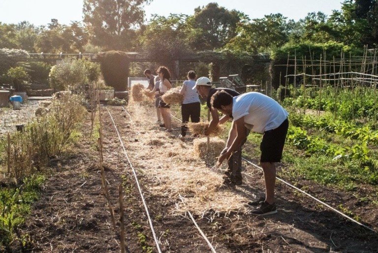 Πάρκα τσέπης: Εξαπλώνονται σε όλη την Ελλάδα φέρνοντας διεθνείς διακρίσεις