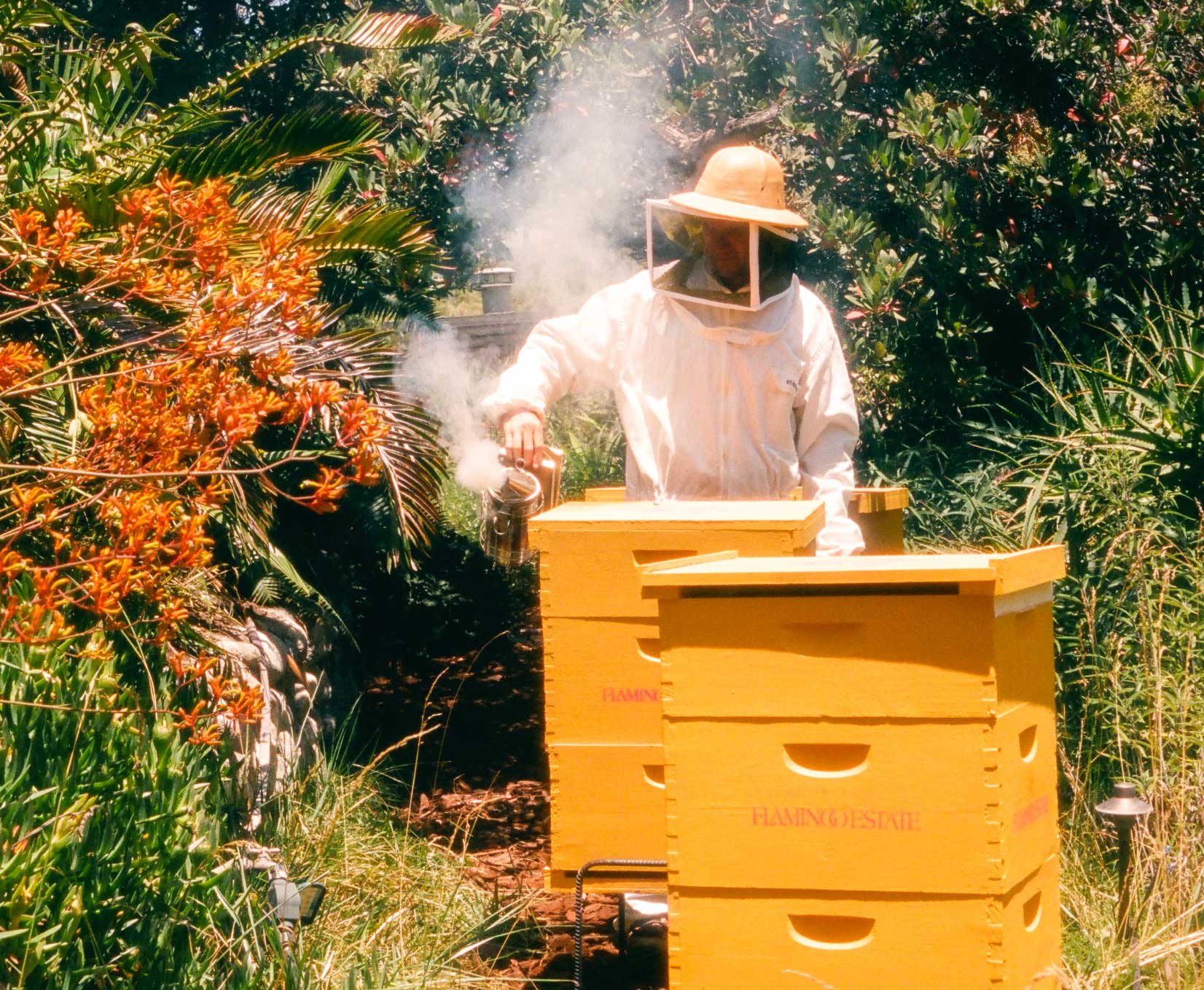 Πώς τα πιο σπάνια μελίσσια στον κόσμο μεταφέρονται με ελικόπτερο στους πρόποδες ενός ηφαιστείου