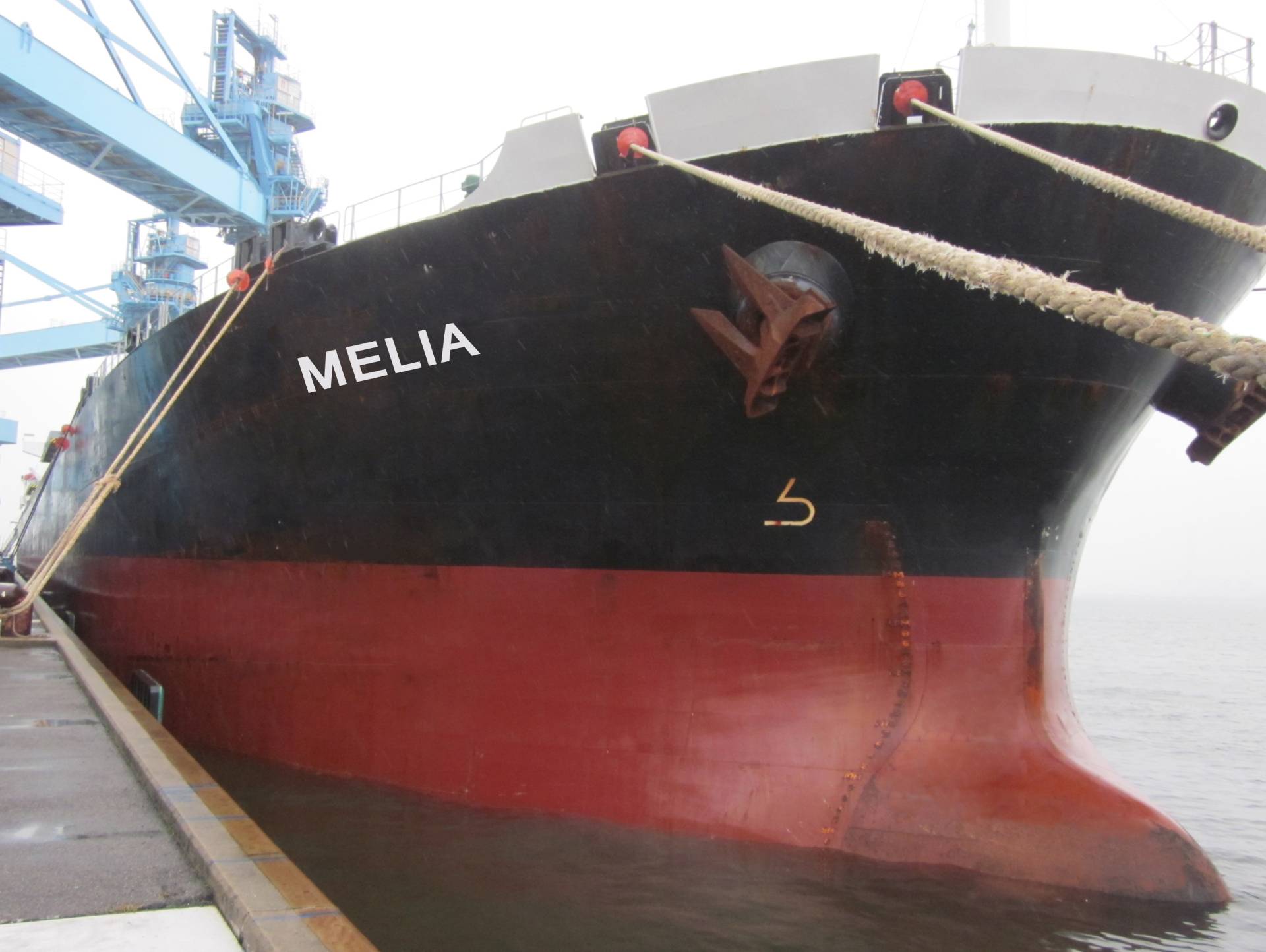Diana Shipping: Σε σταθερή πορεία ανανέωσης του στόλου