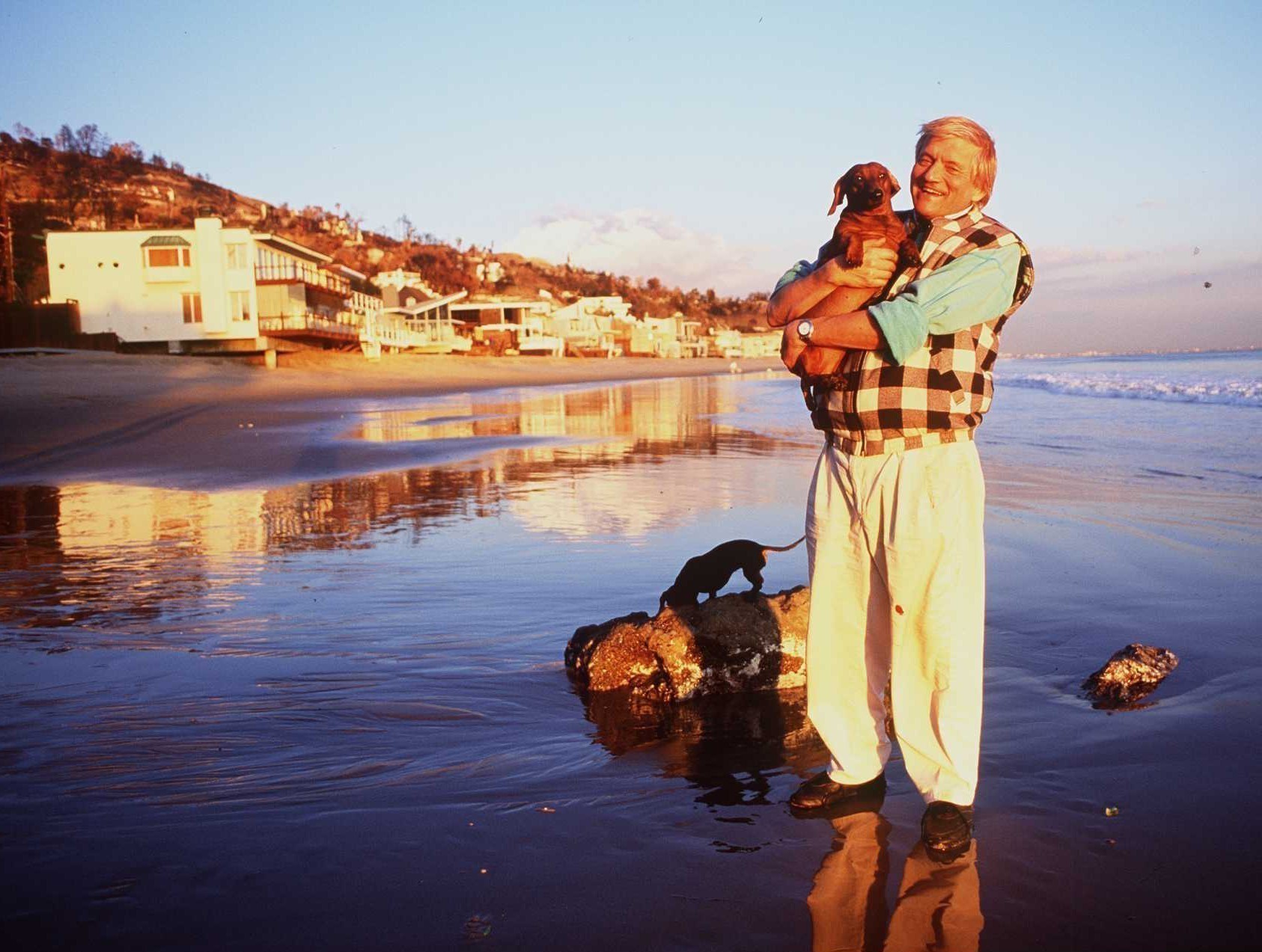 Γιατί είναι σπουδαίος ο πίνακας Portrait of an Artist (Pool with Two Figures) του Ντέιβιντ Χόκνεϊ των 90,3 εκατ. δολαρίων