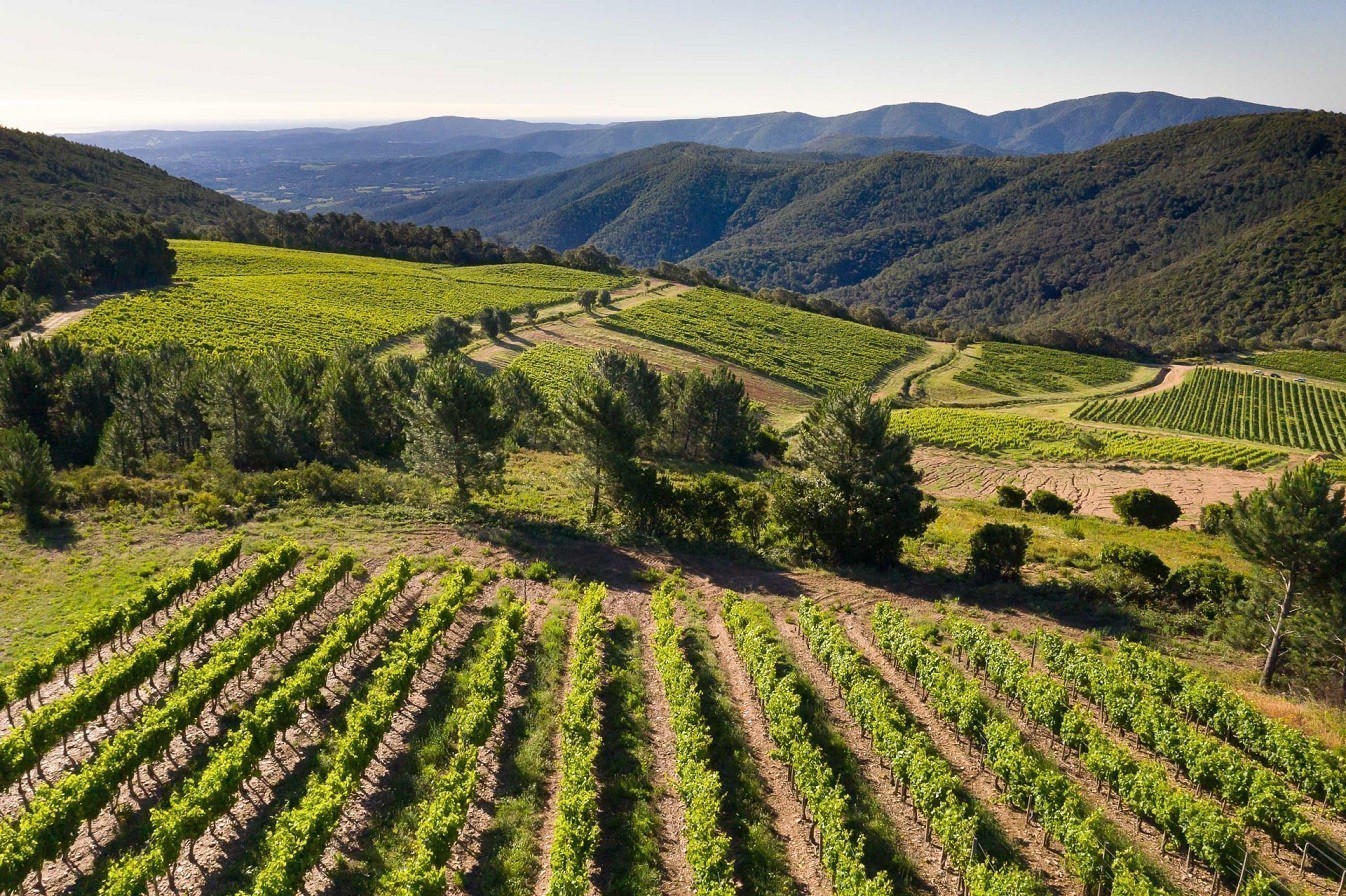 Ισπανία: Η κλιματική αλλαγή χτυπά τους αμπελώνες