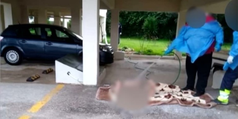 Παρέμβαση εισαγγελέα για τις εικόνες ντροπής με την ηλικιωμένη στον Ωρωπό