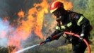 Πυρκαγιά σε δασική έκταση στο Δερβένι – Προειδοποίηση από την Πυροσβεστική για ισχυρούς ανέμους (tweet)