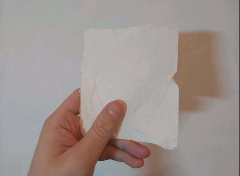 Χαρτί από… βακτήρια έφτιαξαν δύο Έλληνες φοιτητές