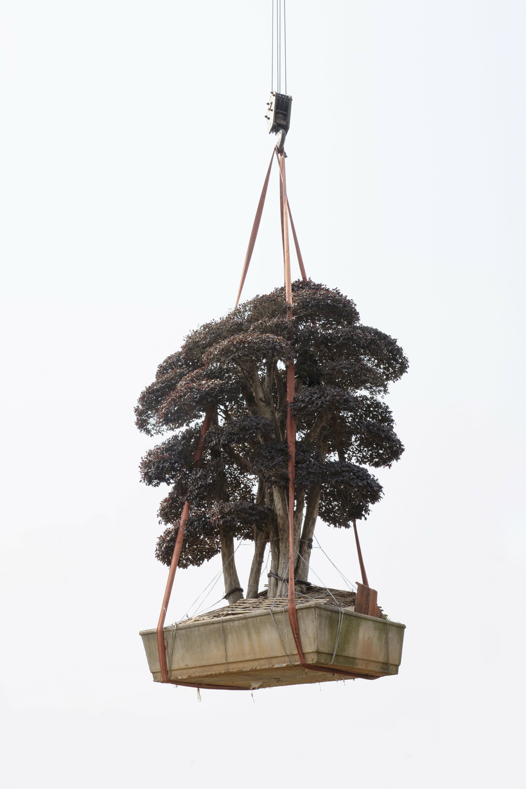 Οι συγκλονιστικές ιστορίες πίσω από τις φωτογραφίες της χρονιάς