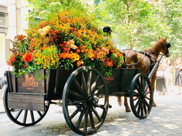 Τα πιο φημισμένα ανθοπωλεία στον κόσμο – Τα μπουκέτα τους στολίζουν fashion shows, jet-set γάμους και όπερες