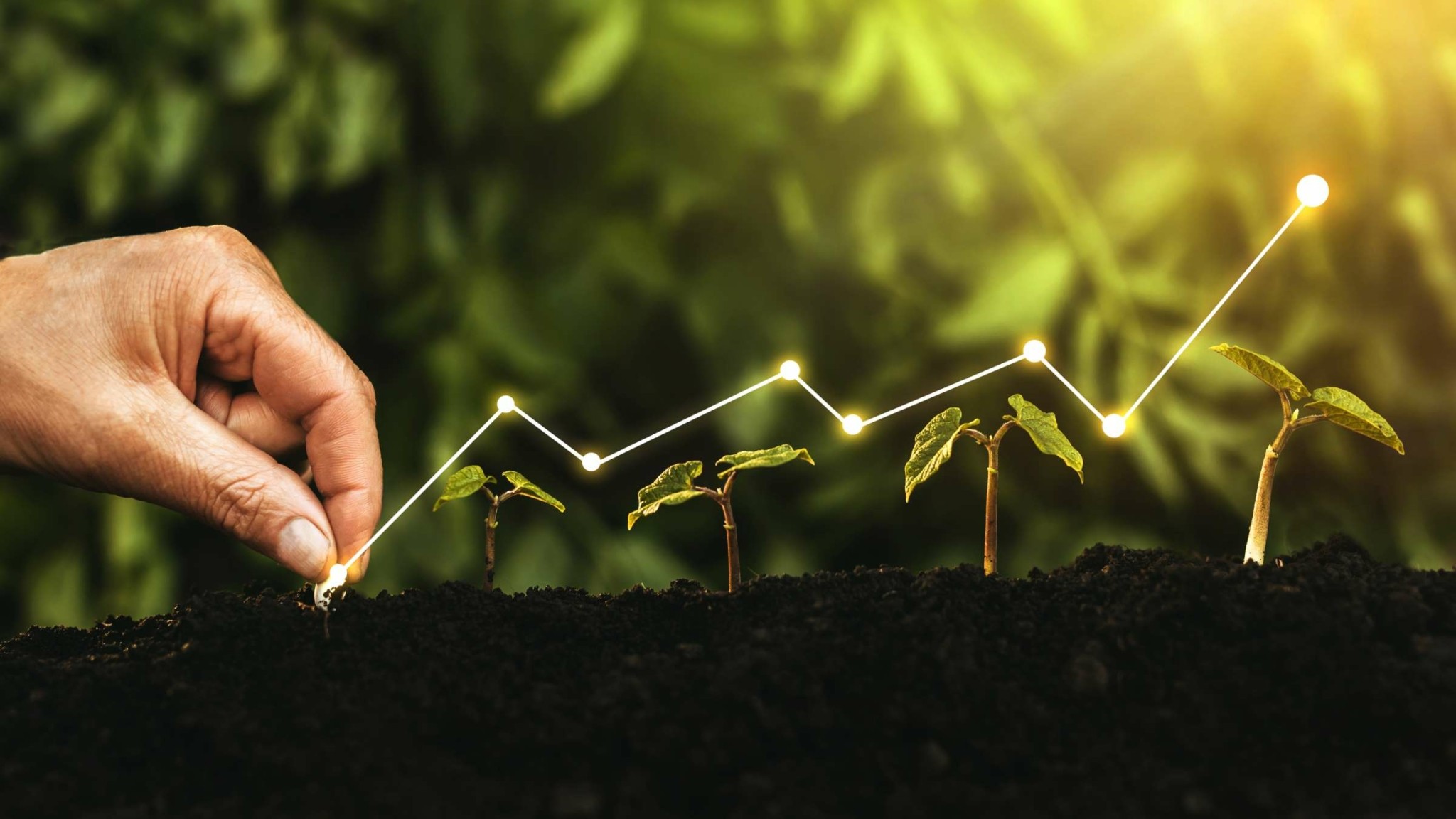 «Πράσινες» οι πιο ανθεκτικές επενδύσεις της χρονιάς