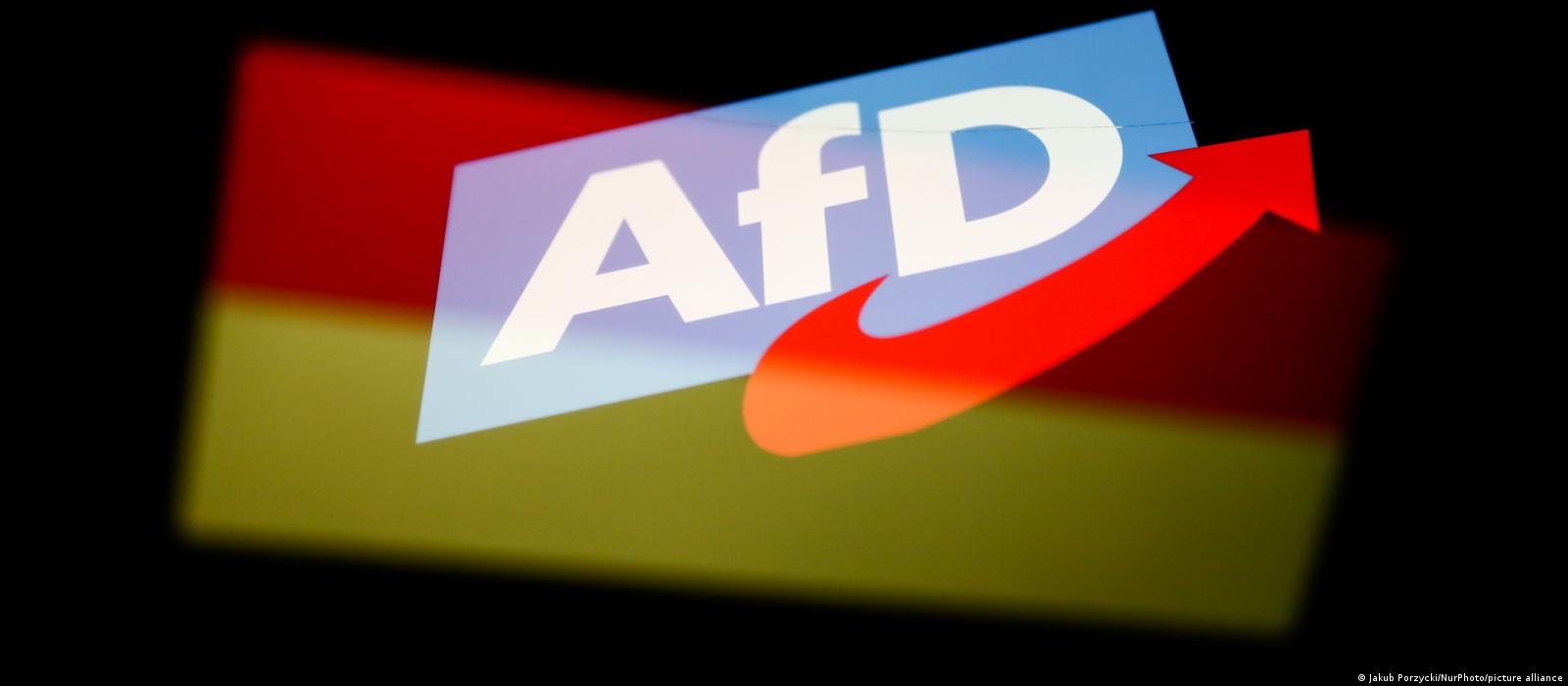 AfD: Τo ακροδεξιό κόμμα που λέει πάντα «Όχι» γιορτάζει 10 χρόνια