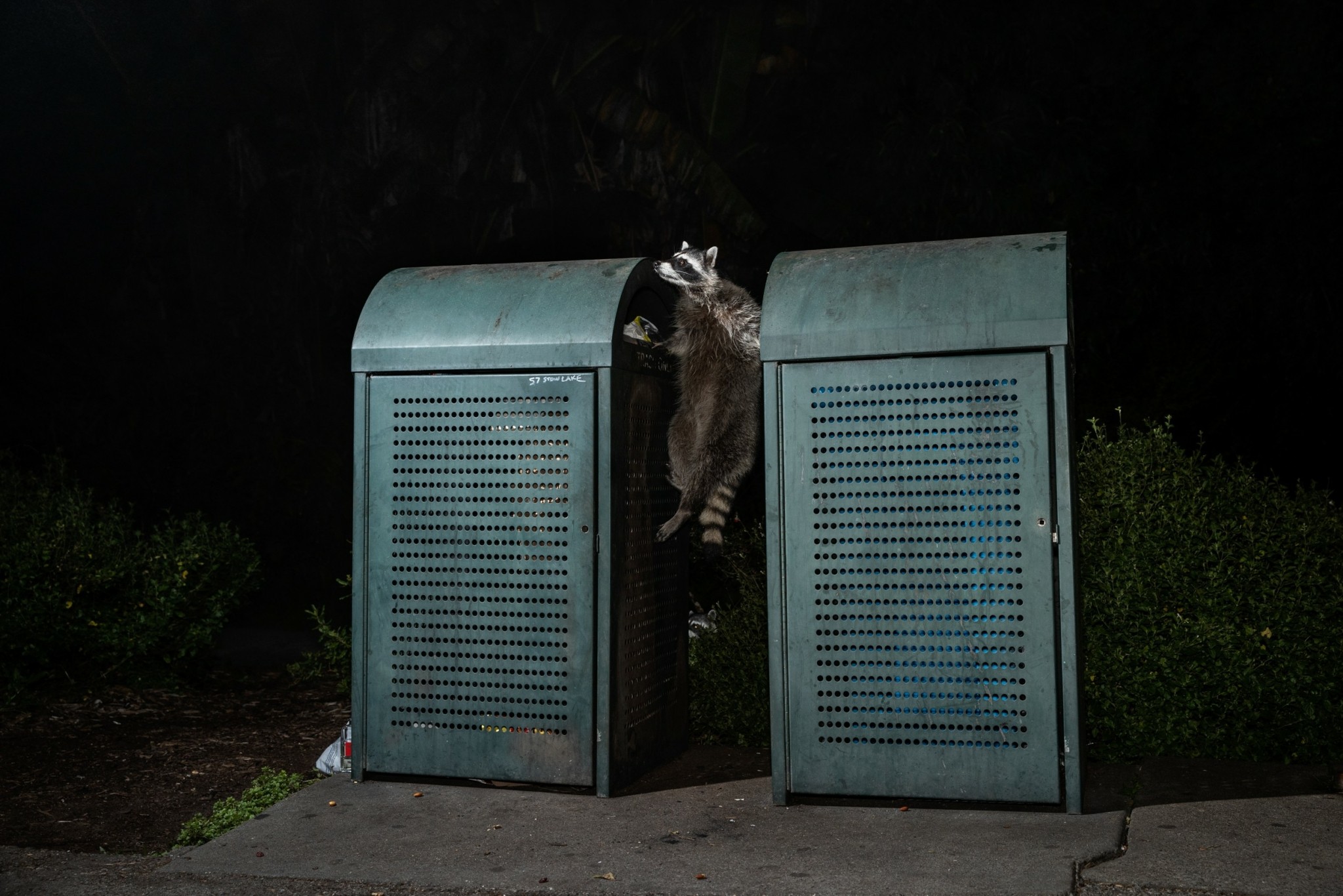 Οι συγκλονιστικές ιστορίες πίσω από τις φωτογραφίες της χρονιάς
