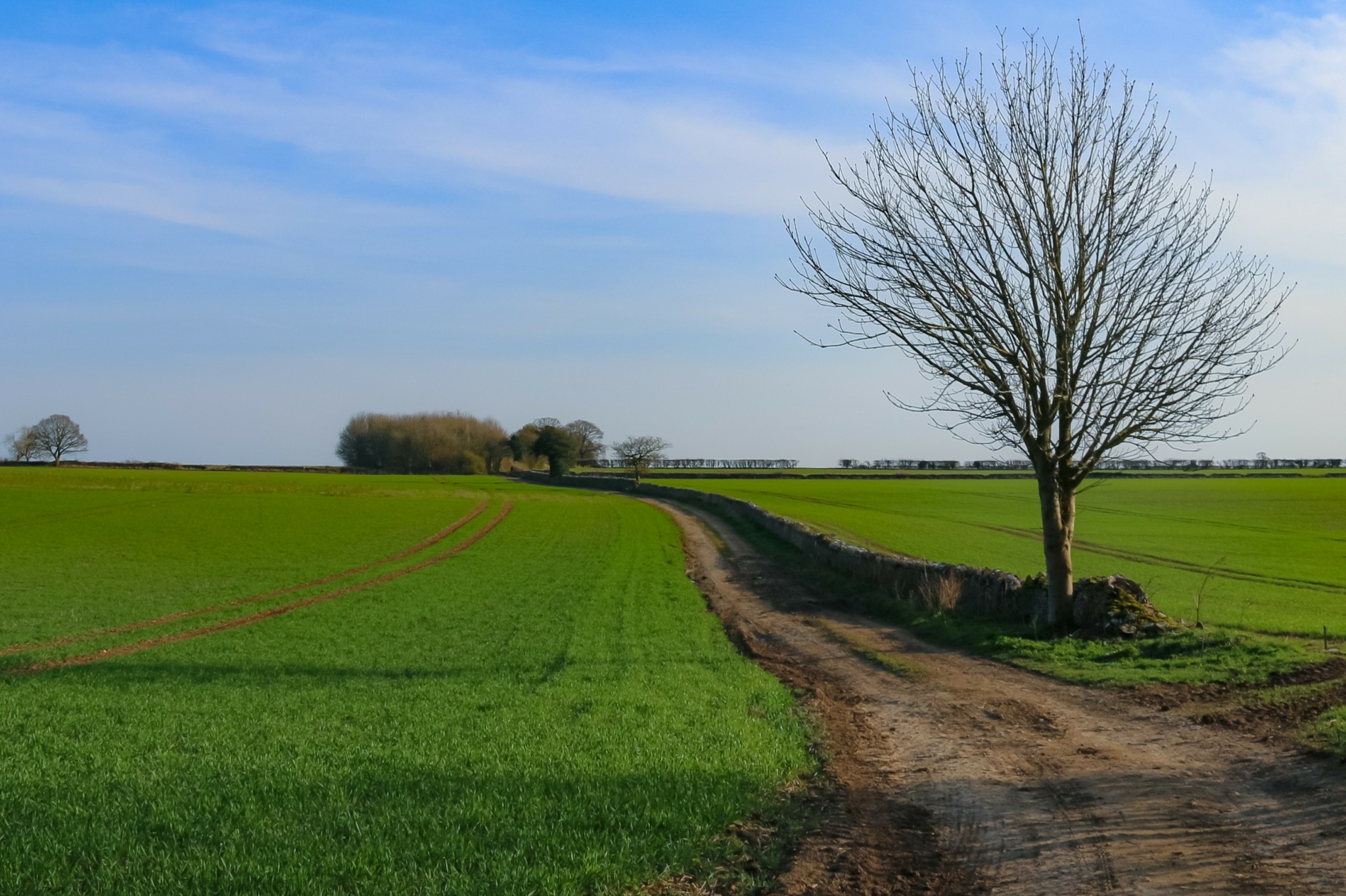 Cotswolds: Τα χωριά των παραμυθιών υπάρχουν – Πανέμορφα σπίτια στα λιβάδια και η ζωή που κυλά αργά, δυόμιση ώρες από το Λονδίνο