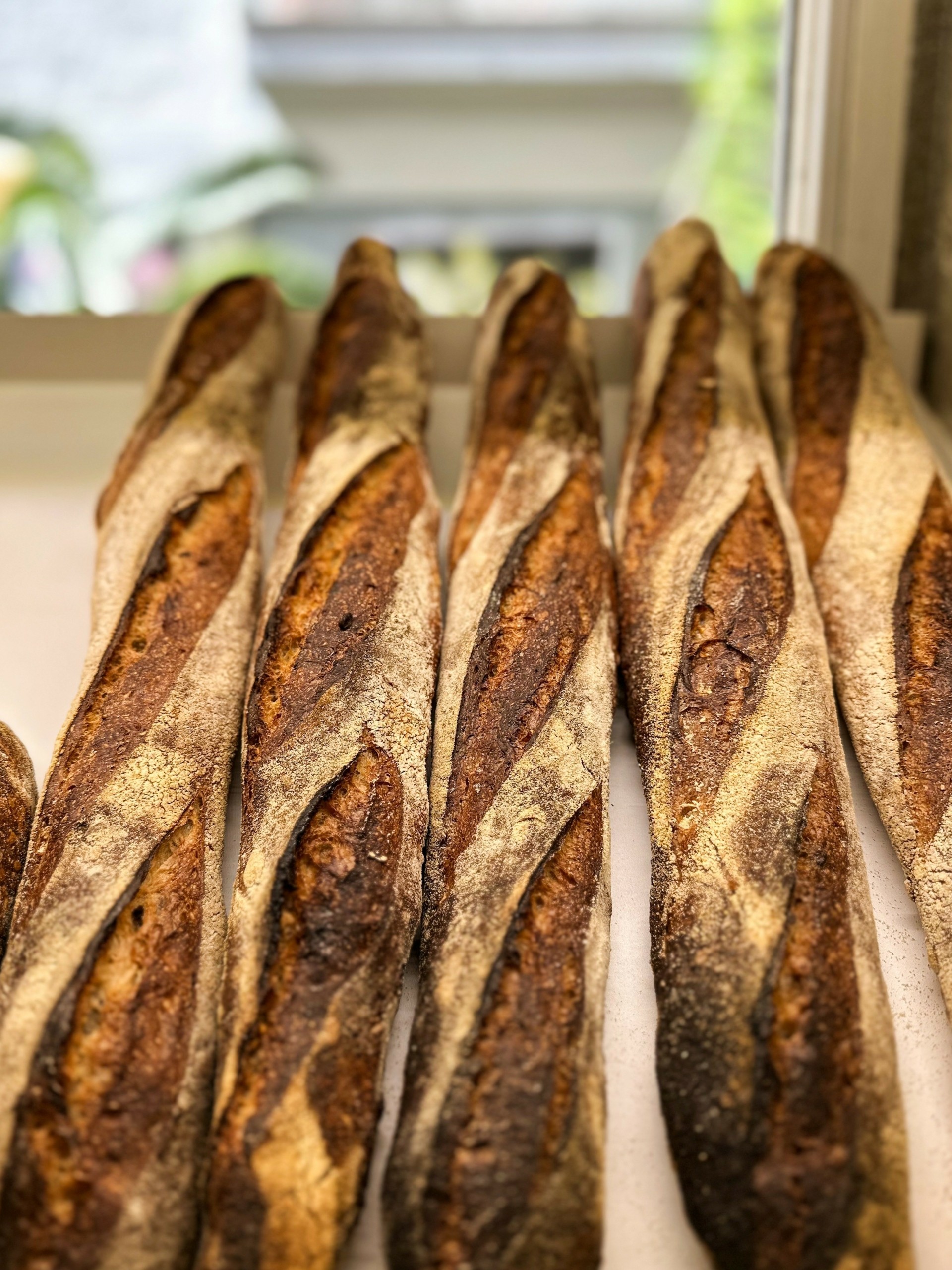 Tρεις κορυφαίοι φούρνοι της Αθήνας – Η φιλοσοφία, τα υλικά και γιατί ξεχωρίζουν