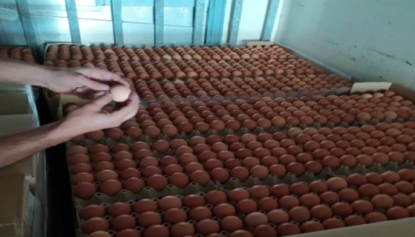 Έλεγχοι ΣΔΟΕ ενόψει Πάσχα: 300.000 «ελληνοποιημένα» αυγά Βουλγαρίας