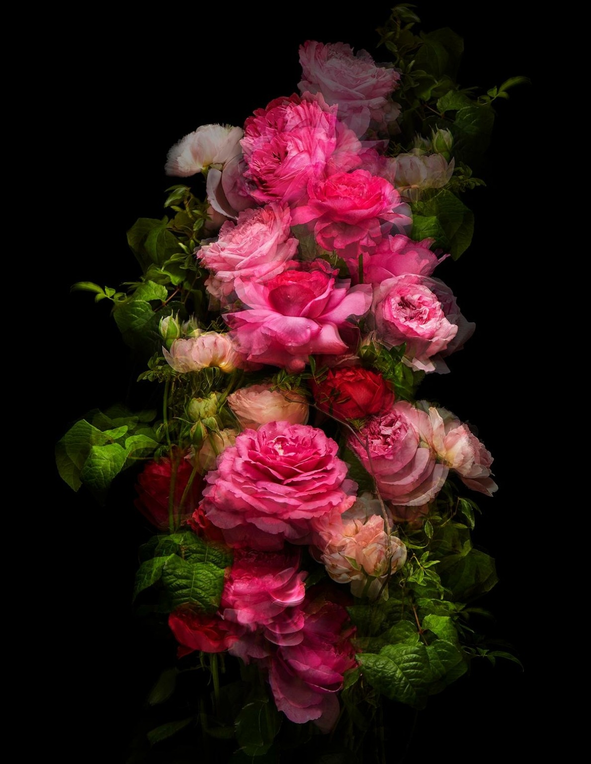 Τα πιο φημισμένα ανθοπωλεία στον κόσμο – Τα μπουκέτα τους στολίζουν fashion shows, jet-set γάμους και όπερες