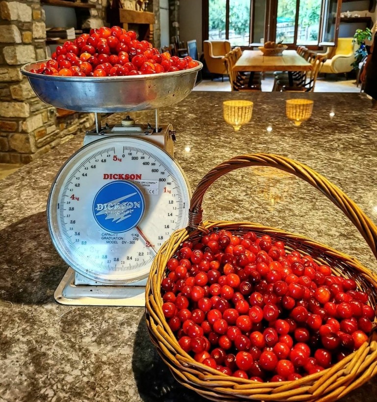 Πώς δύο αδέλφια μετέτρεψαν ένα οικογενειακό αγρόκτημα στο Πήλιο σε μια λατρεμένη φάρμα αγροτουρισμού