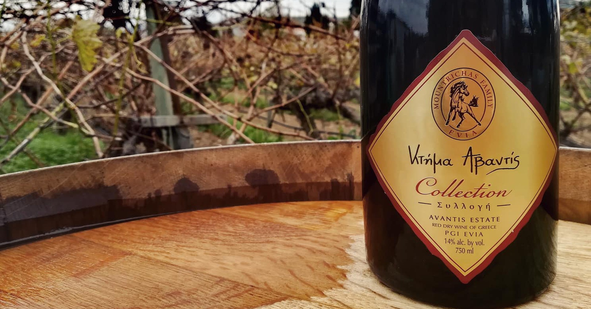 Ο αρθρογράφος οίνου του newmoney κριτής στην “Ολυμπιάδα” του κρασιού – Αυτό είναι το ελληνικό κρασί που βραβεύτηκε