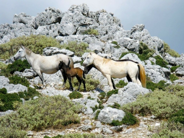Miglior percorso in Grecia - Cefalonia: Scalare il Monte Ainos