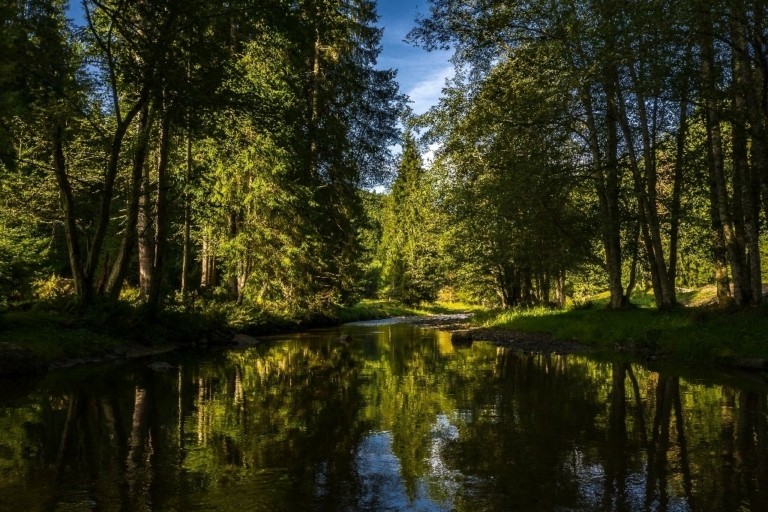 Το «εργοστάσιο» της Φύσης, οι εγκαταστάσεις – πρότυπο και οι 1500 έλεγχοι ημερησίως