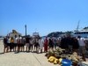 HELMEPA: Ολοκληρώθηκε το έργο «Sea Guardians – Εκπαιδεύοντας τους φύλακες της θάλασσας»