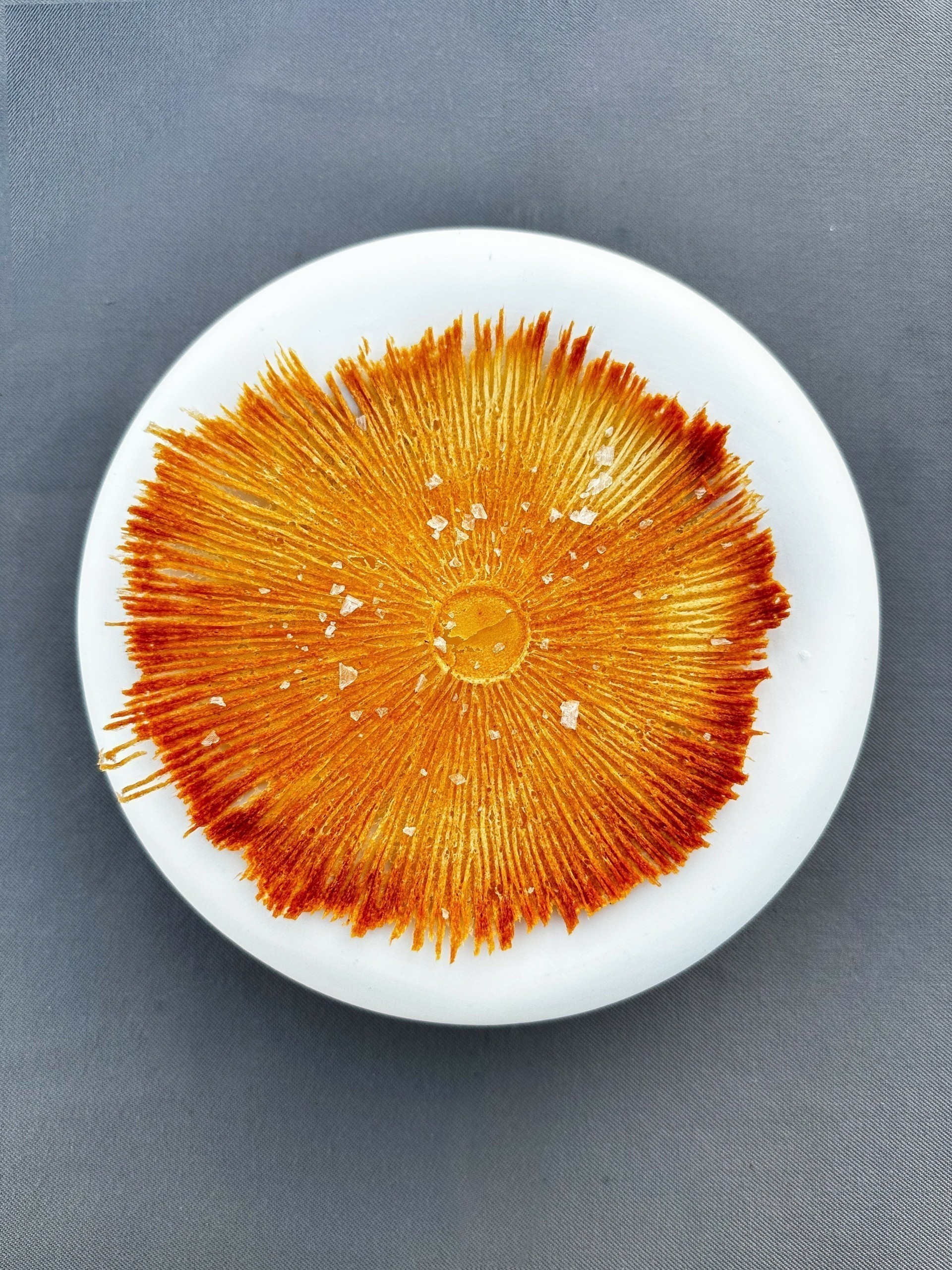 Lauda στη Σαντορίνη: Ενα επικό μενού σε μία από τις κορυφαίες γαστρονομικές εμπειρίες στην Ελλάδα