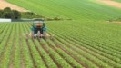 Νέοι Αγρότες: Αιτήσεις για ενίσχυση έως 42.500 ευρώ – Προϋποθέσεις