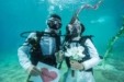 Yποβρύχιοι γάμοι: Σε ποιο ελληνικό νησί έχουν γίνει viral (tweets + pics)