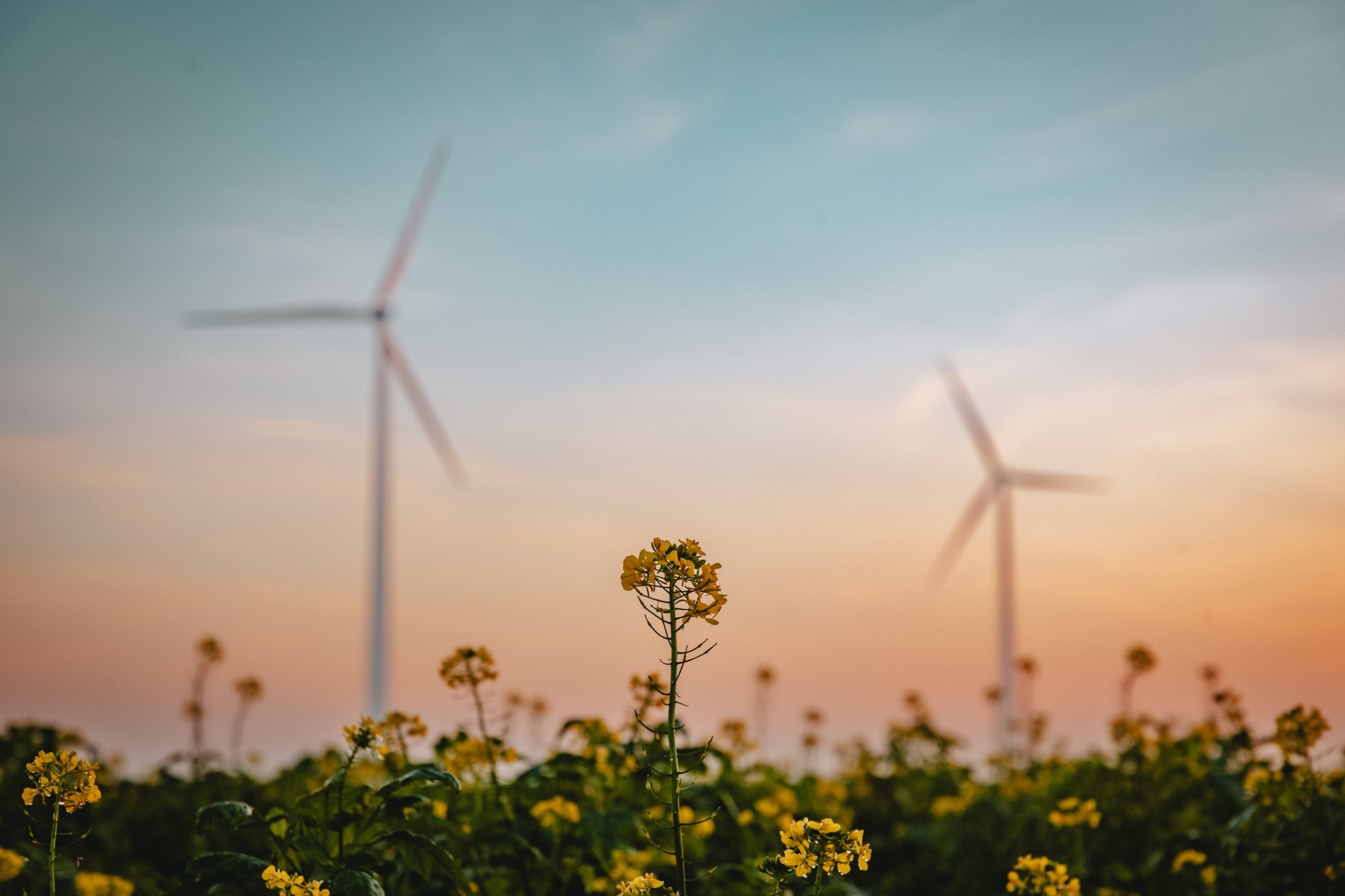 H Enel Green Power Hellas πρωτοπόρος στην προστασία του περιβάλλοντος και την πράσινη μετάβαση