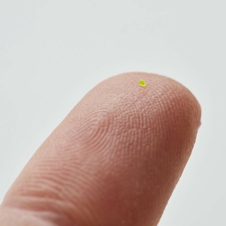 MSCHF: Λανσάρει τσάντα στο μέγεθος κόκκου αλατιού – Πόσο θα κοστίζει