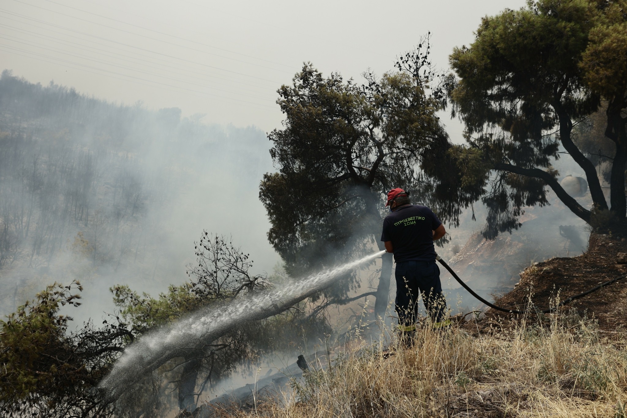 Συνεχείς οι αναζωπυρώσεις στη δυτική Αττική – Φόβοι για εξάπλωση της φωτιάς στην Πάρνηθα (pics + vid)