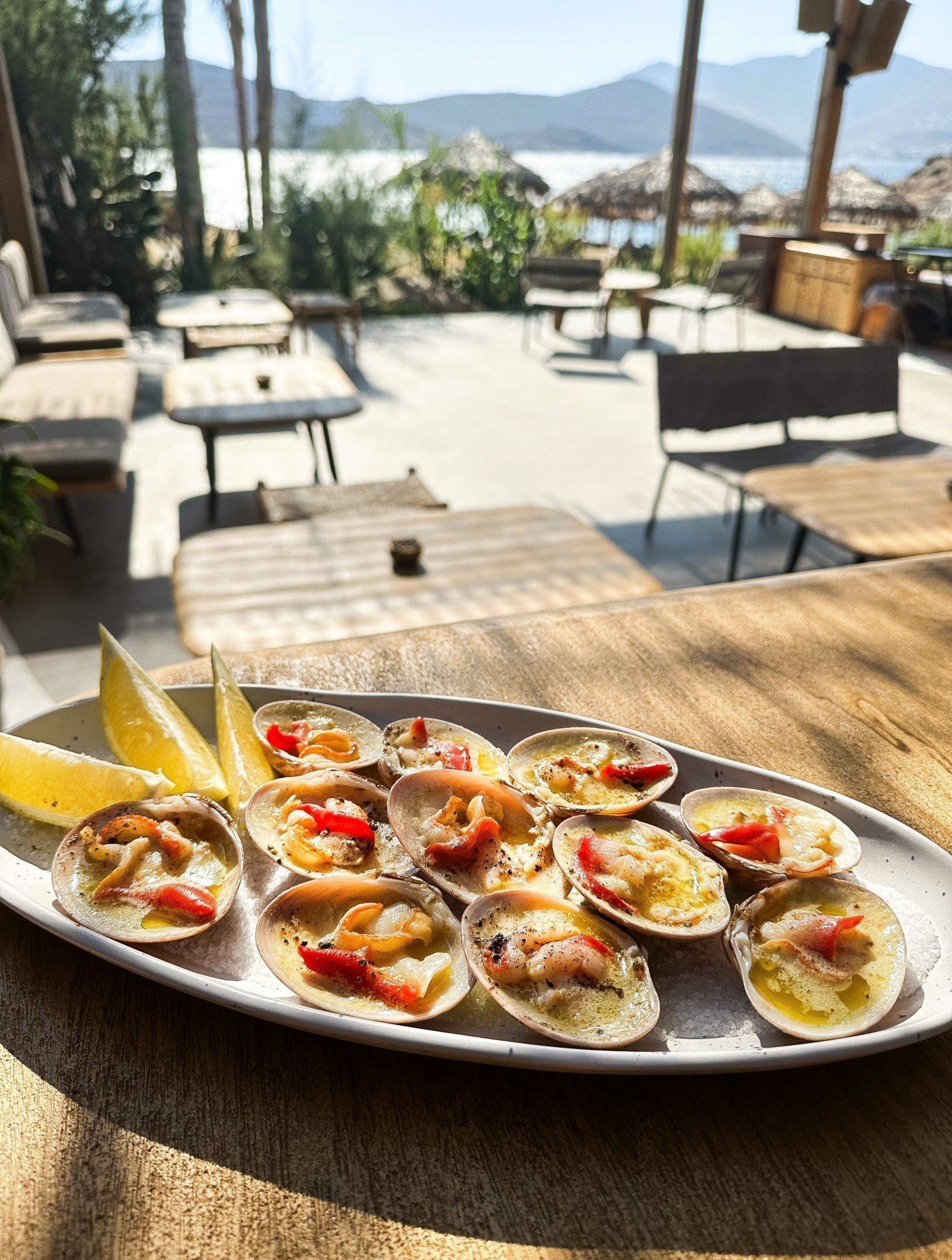 Alemagou – Δοκιμάζουμε το μενού στο αισθησιακό beach club της Φτελιάς στη Μύκονο