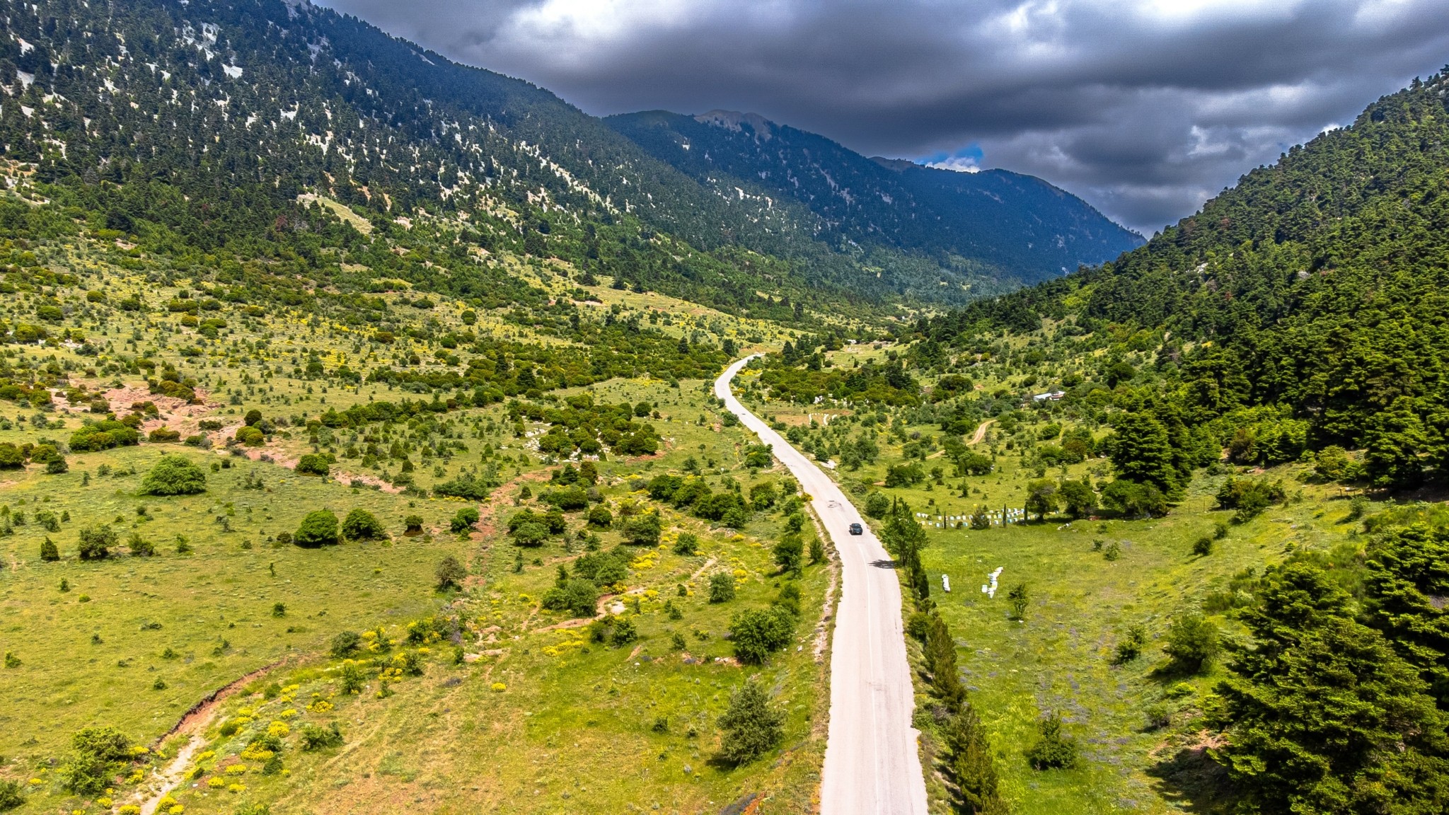 Ενας κρυμμένος καταπράσινος παράδεισος – Η διαδρομή προς το οροπέδιο Αρβανίτσα στο όρος Ελικώνας