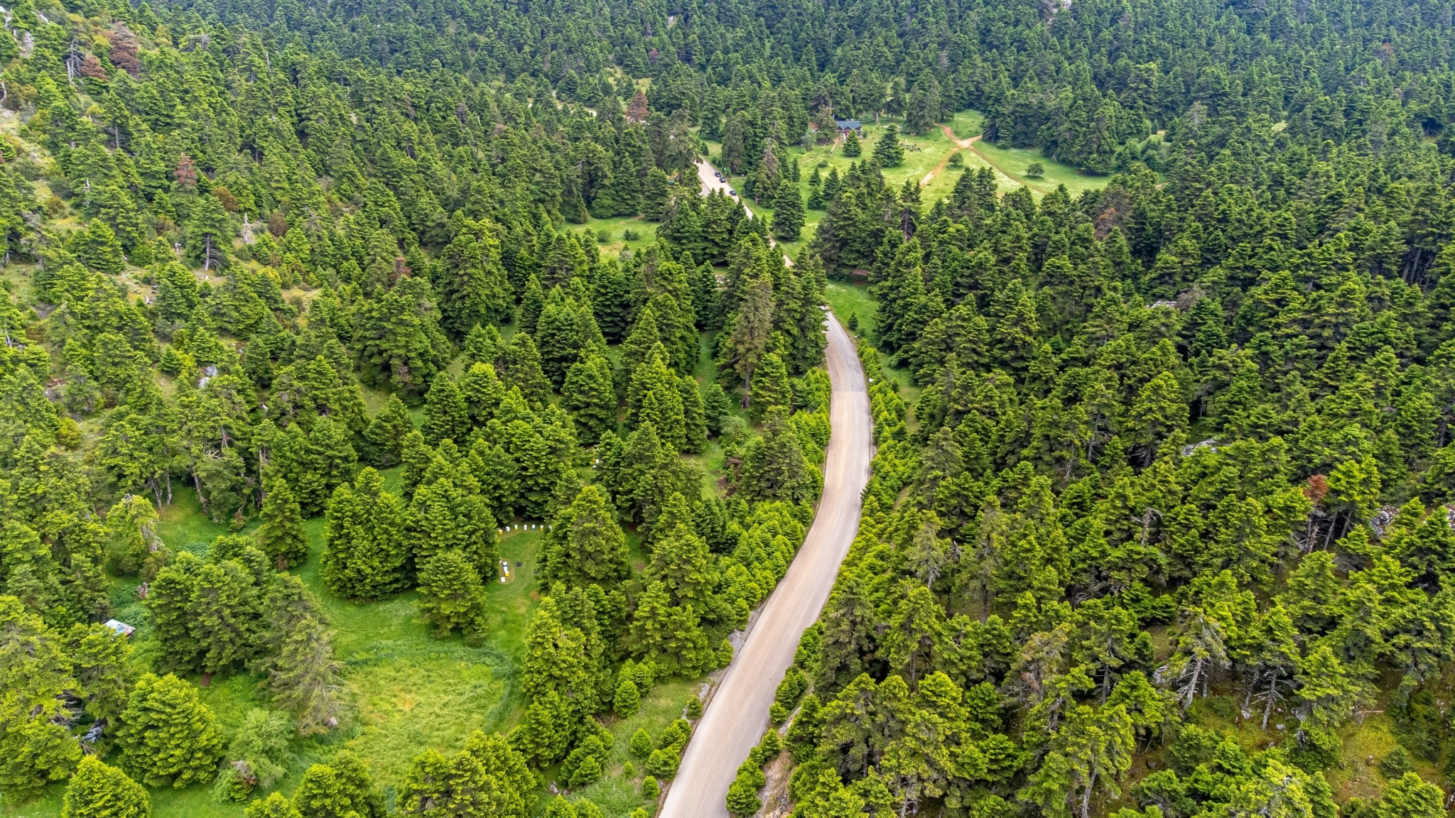 Ενας κρυμμένος καταπράσινος παράδεισος – Η διαδρομή προς το οροπέδιο Αρβανίτσα στο όρος Ελικώνας