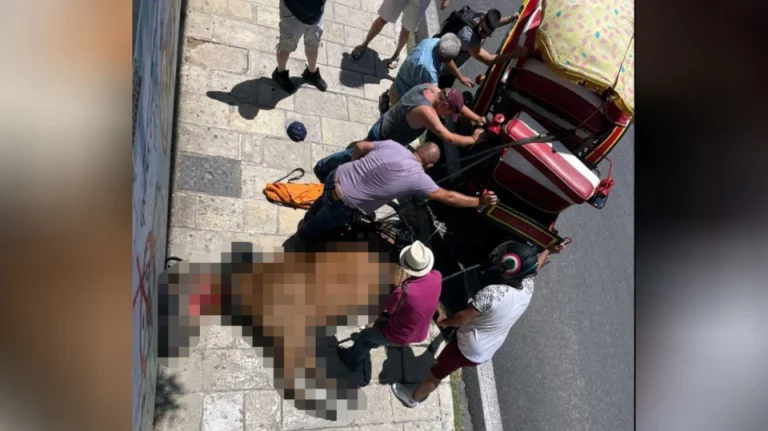 Φιλοζωικά σωματεία: Ανοιχτή επιστολή για την απαγόρευση χρήσης ιπποειδών ως «ταξί»