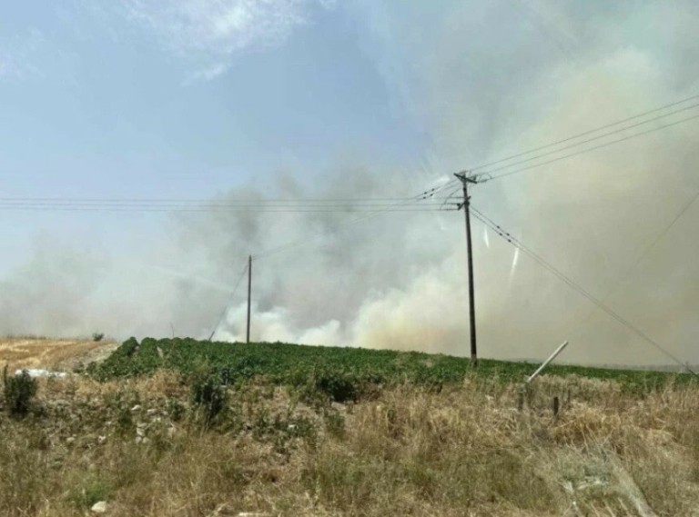 Φωτιά Βελεστίνο: Πλησιάζουν τα σπίτια οι φλόγες – Μήνυμα από το 112 στους κατοίκους (tweet) (upd)