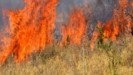 Υπό μερικό έλεγχο η φωτιά στο Μαραθώνα (tweet) (upd)