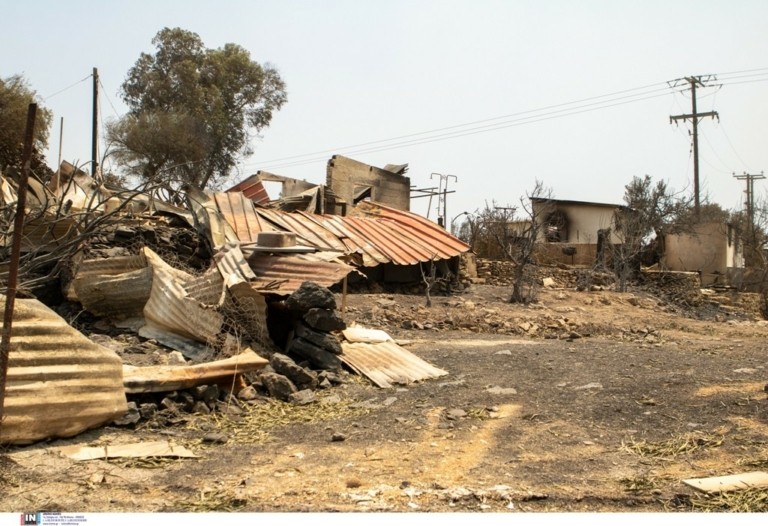 ΕΛΓΑ: 50.000 ελαιόδεντρα και 2.500 ζώα «χάθηκαν» από τη φωτιά στη Ρόδο