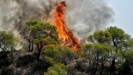 ΑΠΘ: Το σύστημα «Maestro» προβλέπει real time τις δασικές πυρκαγιές